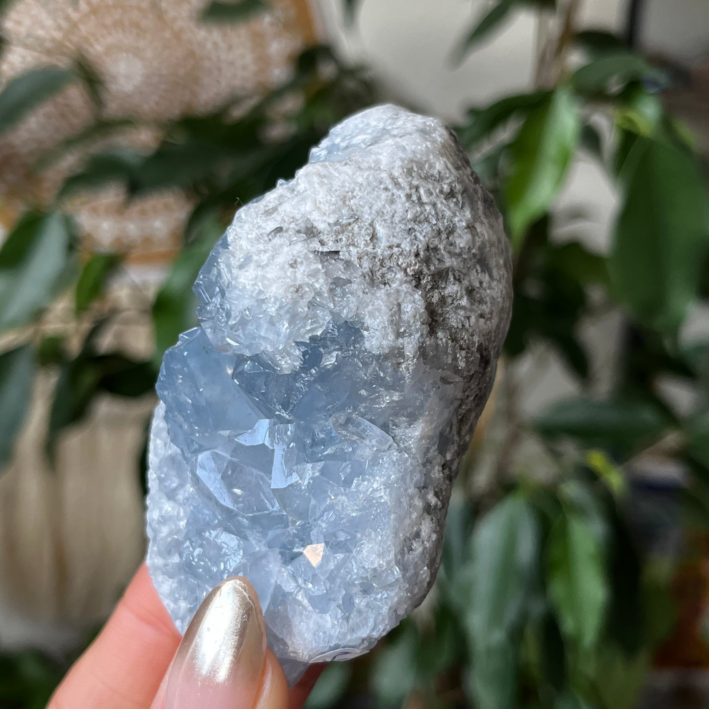 Celestite Geode Madagascar Crystal 8.5cm - 320g