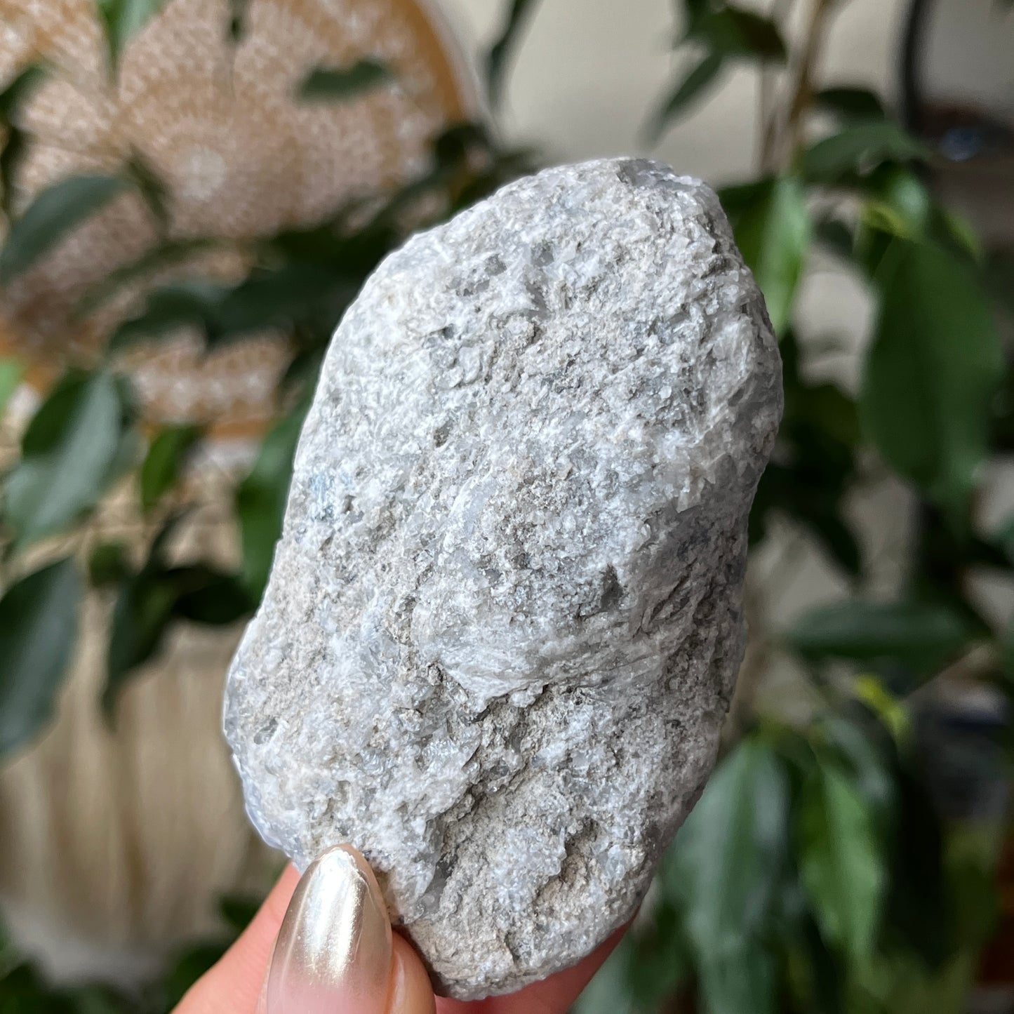 Celestite Geode Madagascar Crystal 8.5cm - 320g