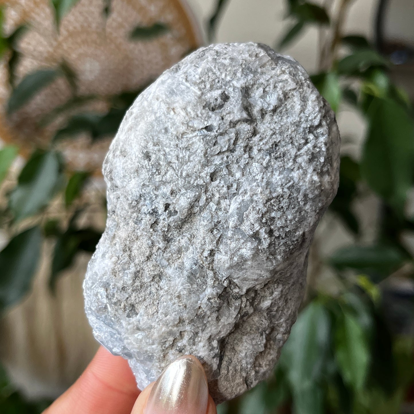 Celestite Geode Madagascar Crystal 8.5cm - 320g