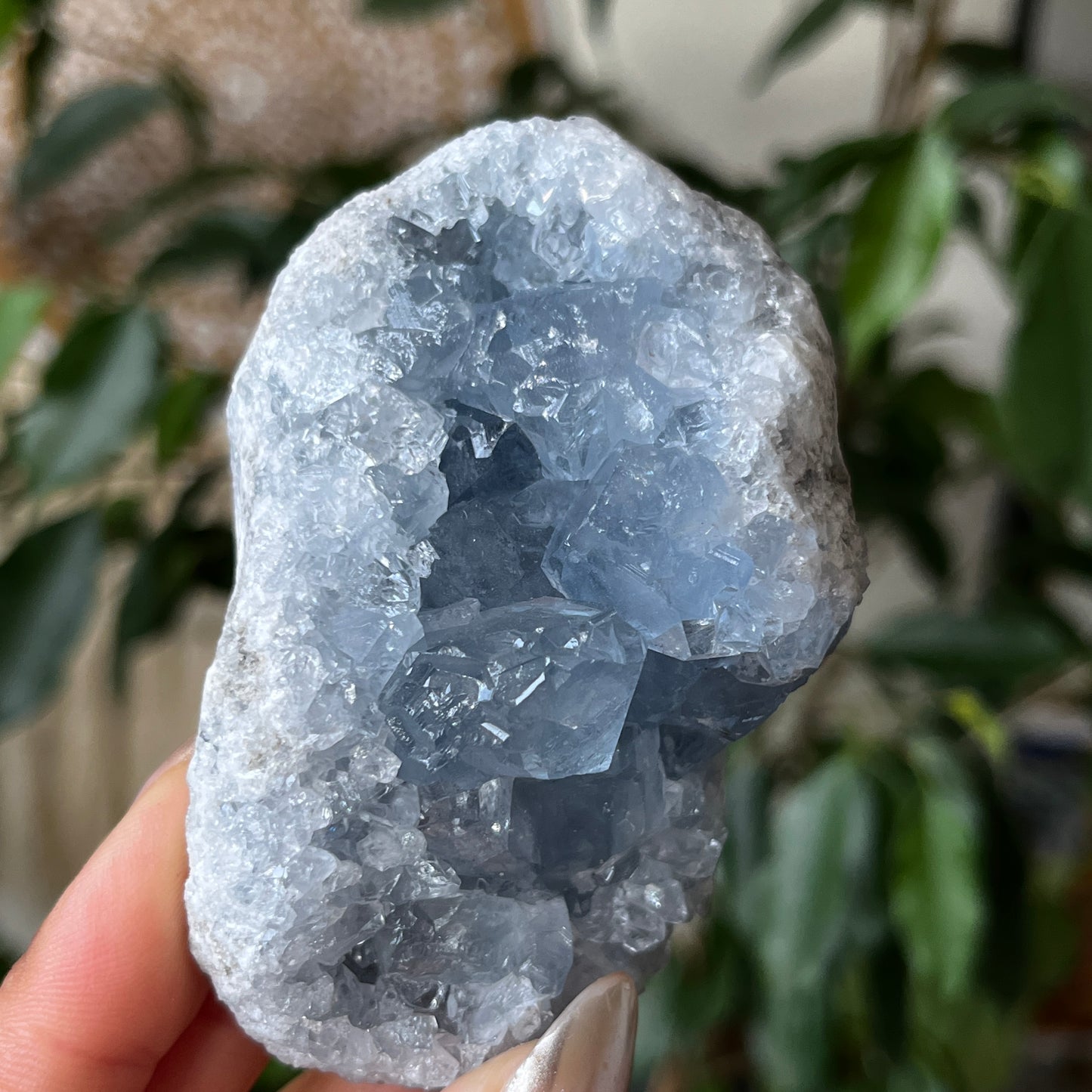 Celestite Geode Madagascar Crystal 8.5cm - 320g