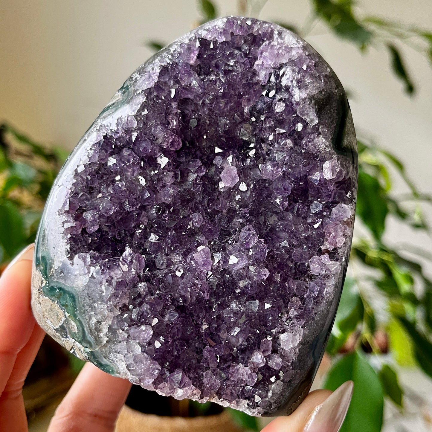 Amethyst A+ Cut Base Crystal 560g - 9.6cm Tall