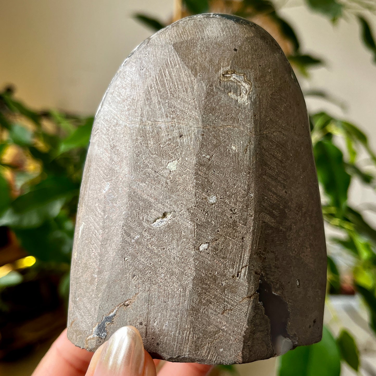 Amethyst A+ Cut Base Crystal 560g - 9.6cm Tall